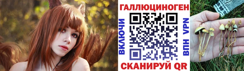 Галлюциногенные грибы мицелий Купить закладки Ясный